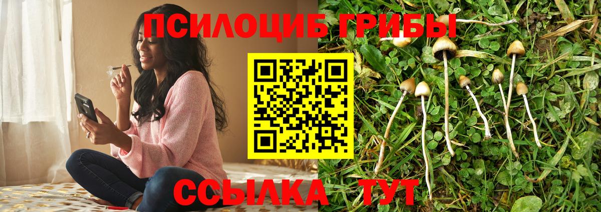 Мурманск  Галлюциногенные грибы мицелий  Вход с VPN 
